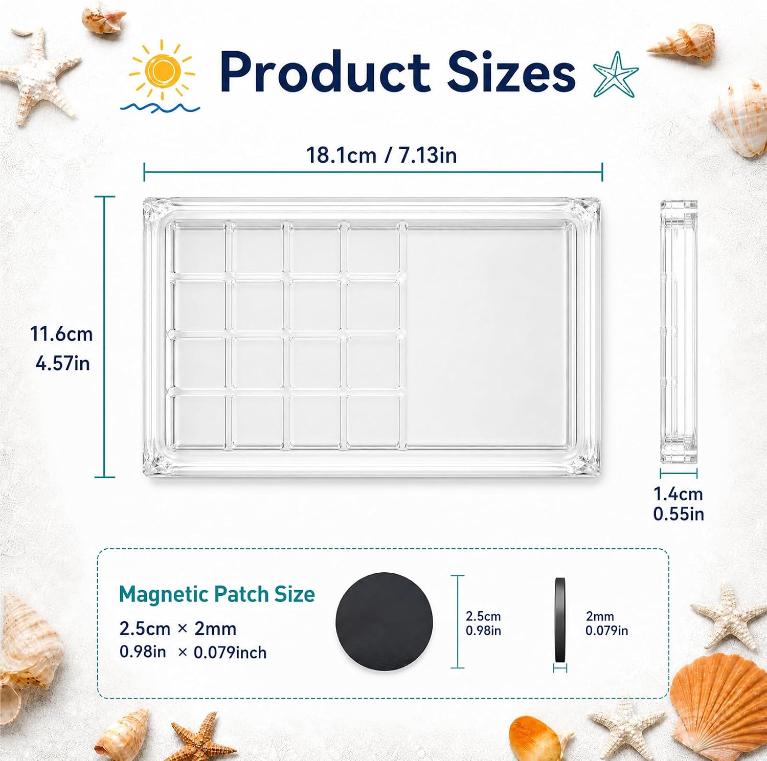 Acrylic Seashell Display Box with Picture Frame Clear Sea Shell Display Box Transparent Magnetic Organizer Beach Shelling Collective image 2