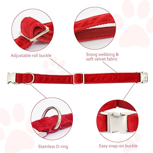 Miniatura 7 de Bubblepup Collar de terciopelo para perro, collar suave para perros pequeños, medianos y grandes