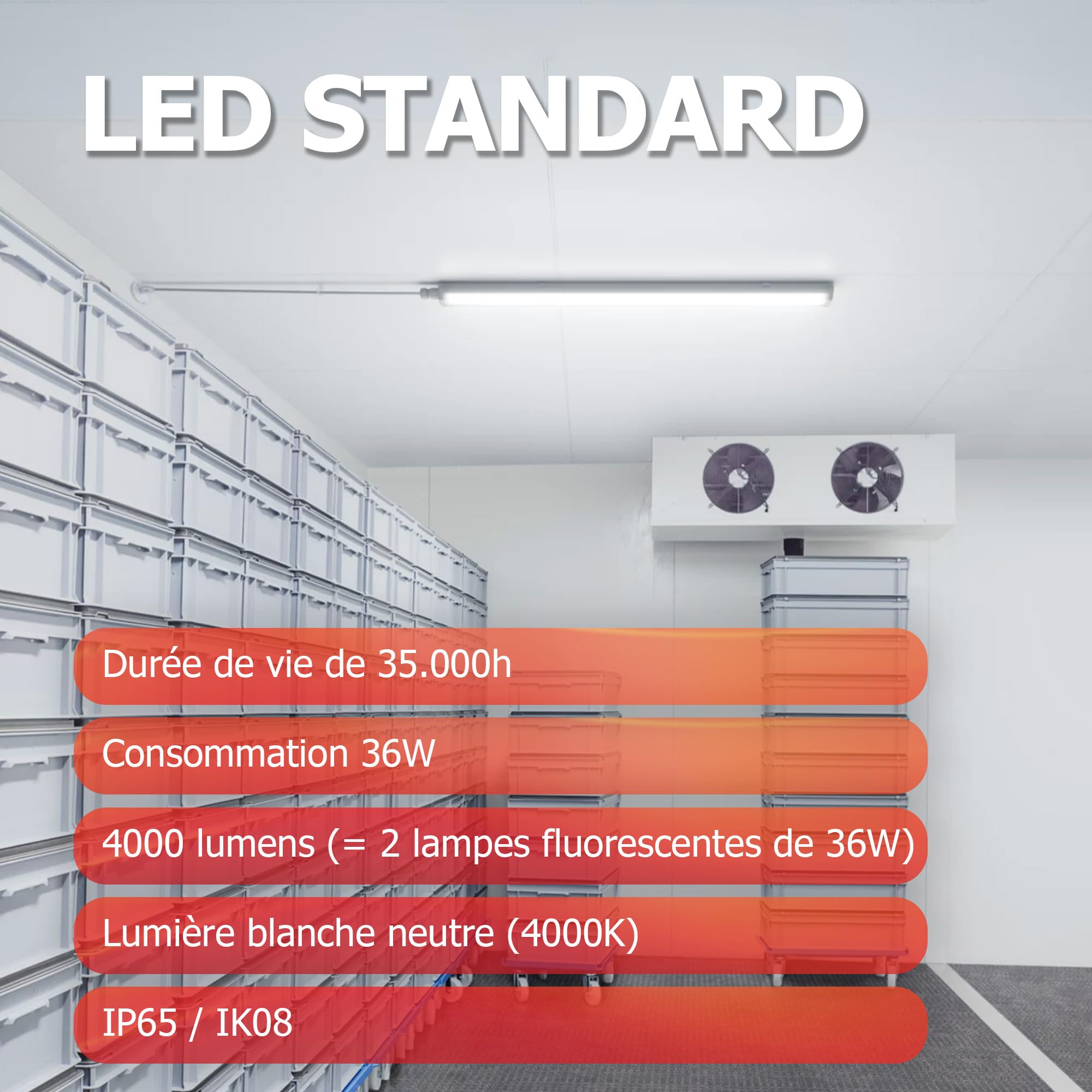 PILA Écran étanche LED 120 cm, 36 W, design classique, non réglable, lumière blanche neutre (4000 K), 4000 lumens, CRI80, IP65, IK08, durée de vie de 35 000 h, câblage traversant