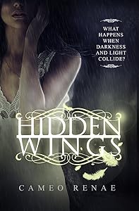 Hidden Wings