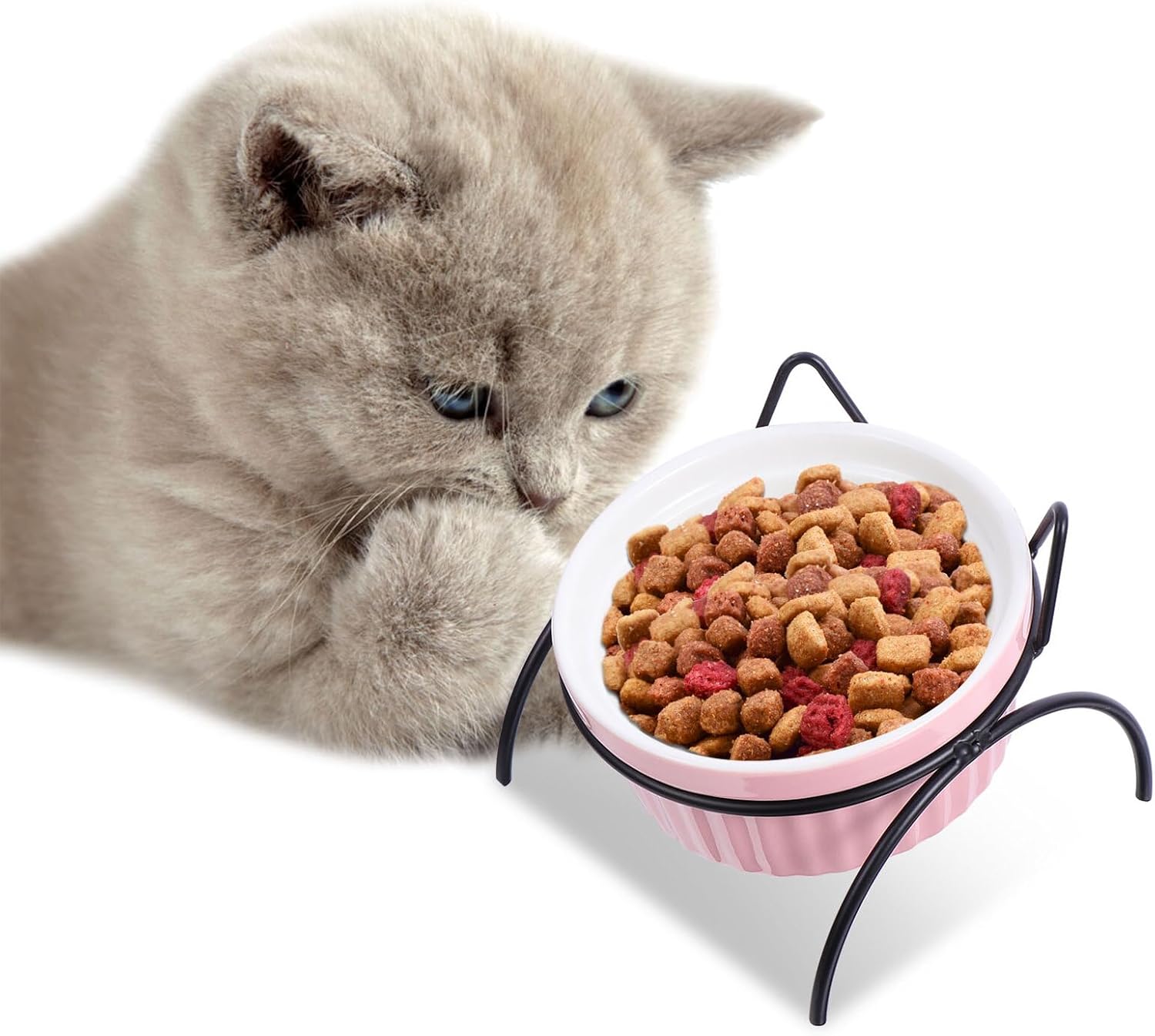 VICASKY Ceramic Cat Bowls with Elevated Metal Stand 4pcs Set Including 2 Food Bowls and Tilted Raised Feeding Dishes for Indoor Cats