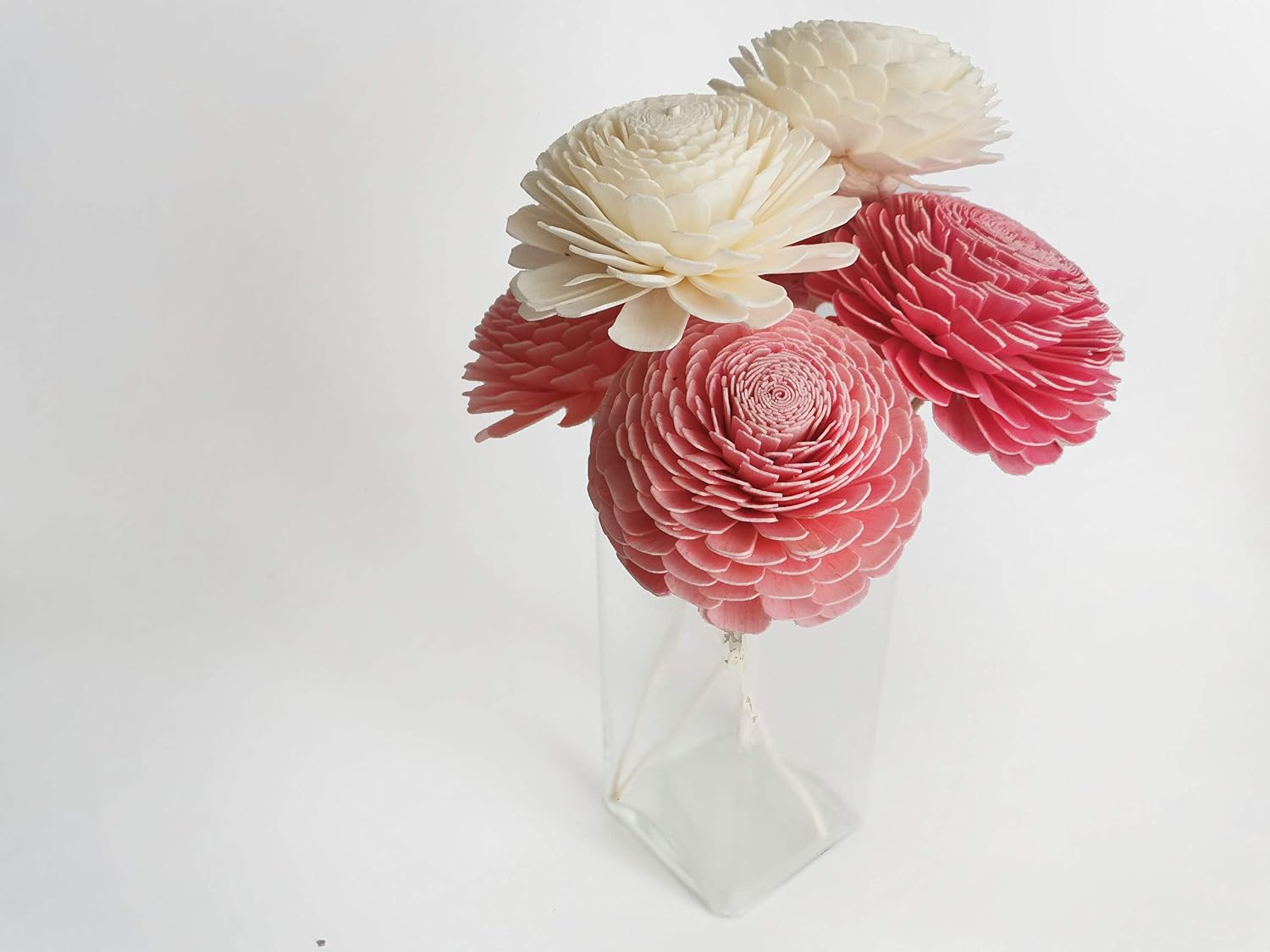 6 Triple Warm Tone Color 3 Inch Jasmine Sola Flower with Reed Diffuser for Home Fragrance Aroma Oil by Plawanature