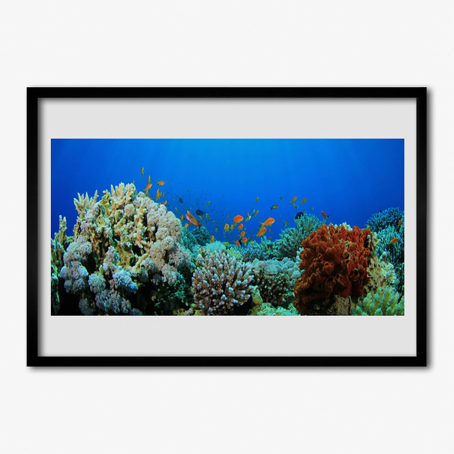 Tulup Marco Póster 100x70cm Cuadros Decorativos Cuadro de Pared Decoración Cartel Enmarcado Paredes de Sala, Dormitorios y Cocina Arte Mural - Naturaleza de arrecife de coral