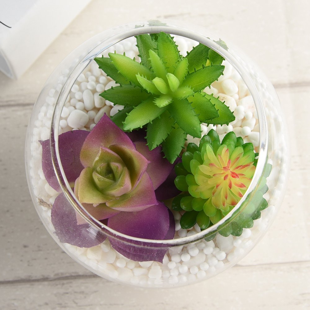 14 Piante Grasse Artificiali Finte Senza Vaso – Assortite Per Decorazione Casa, Ufficio, Centrotavola - 5