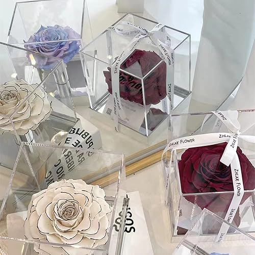 Miniatura 9 de KissYou Caja de acrílico con tapa, 4 piezas, cubo cuadrado de acrílico transparente, caja de almacenamiento de joyas, recipientes de acrílico