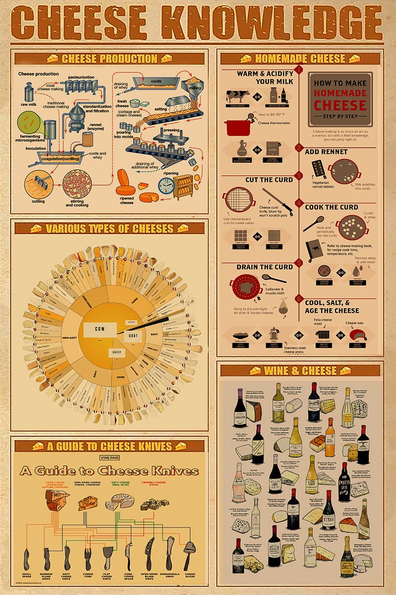 rayprint Vintage Artwork Cheese Knowledge Metal Sign Plaque Infographic For Club Home Restaurant Cafe Kitchen Bedroom Garden Office Bar Guide Reference Chart Decor 12x16Inches