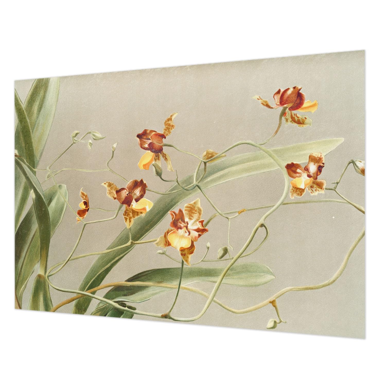 Papier peint salon orchidées intissé pour créer une chambre parentale zen