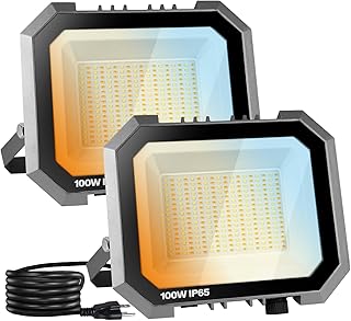 Leddictive 2 Pack 100W LED Flood Lights Outdoor, 3CCT Outside Work Light | 3000/4000/6000K Selectable, 100W 10000LM with 5.9FT Plug, IP65 Waterproof, LED FloodLight for Garage, Yard, Lawn, Garden