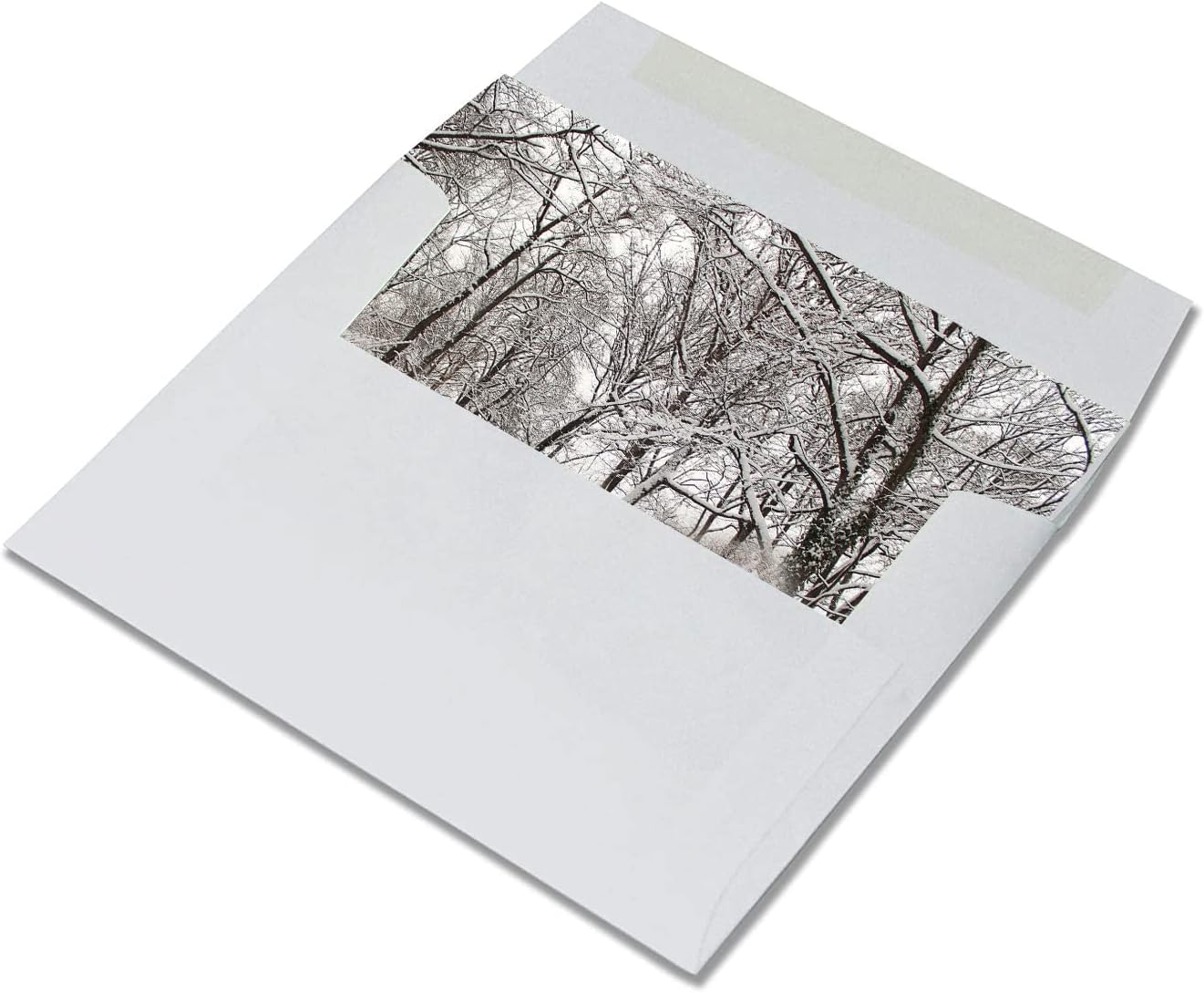 Small World Greetings - Winter Scenes Cards & Envelopes - 24-Count image 4