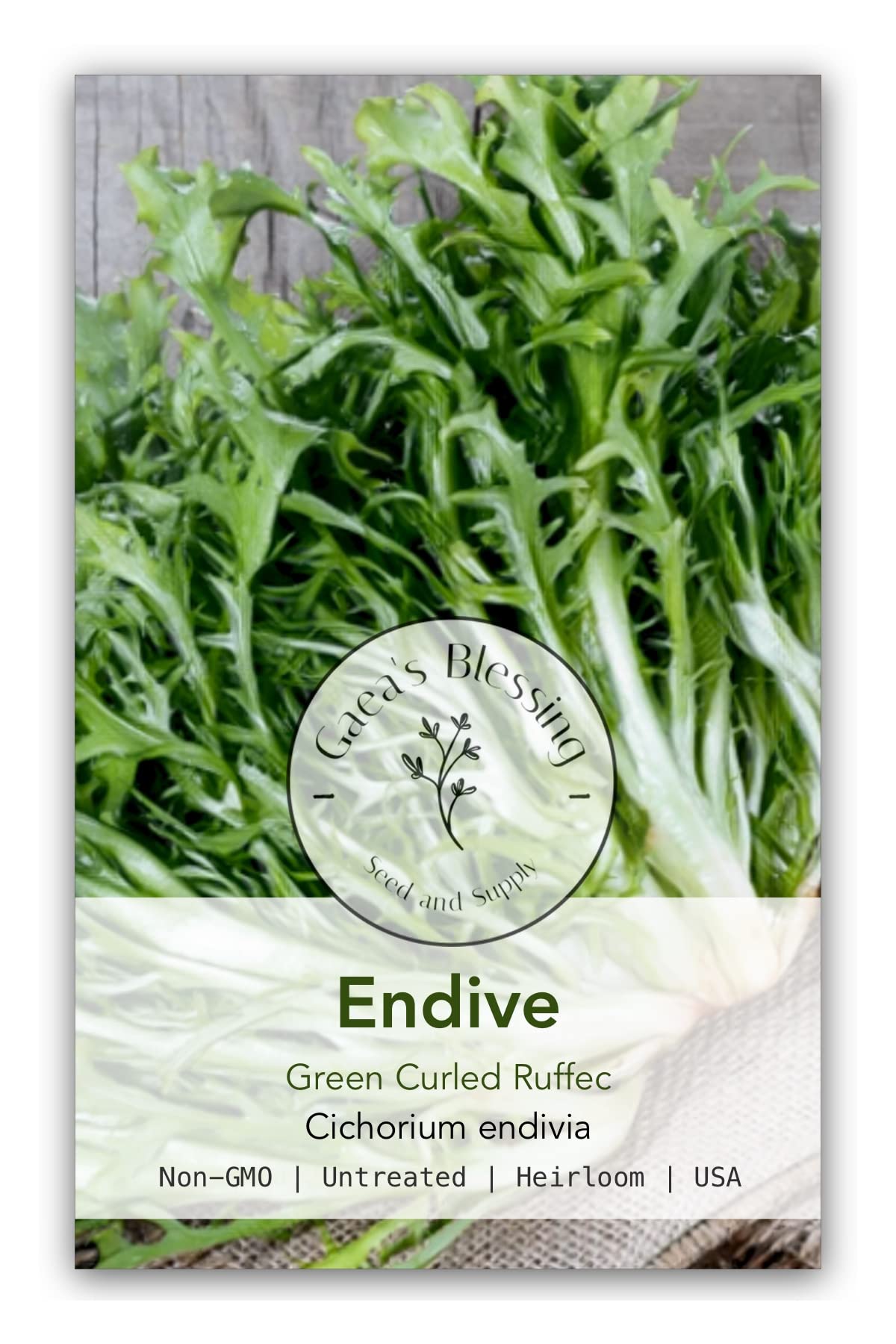 Gaeas Blessing Seeds - Endive Seeds - Green Curled Ruffec Non-GMO Seeds with Easy to Follow Planting Instructions - Heirloom 90% Germination Rate