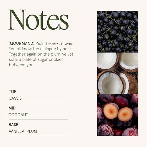 Miniatura 4 de LA JOLIE MUSE Vela Vanilla Plum Sky - Coco, Vainilla, Ciruela  12 oz Vela grande de cera de soja de 2 mechas  60 horas de combustión limpia  Ideal