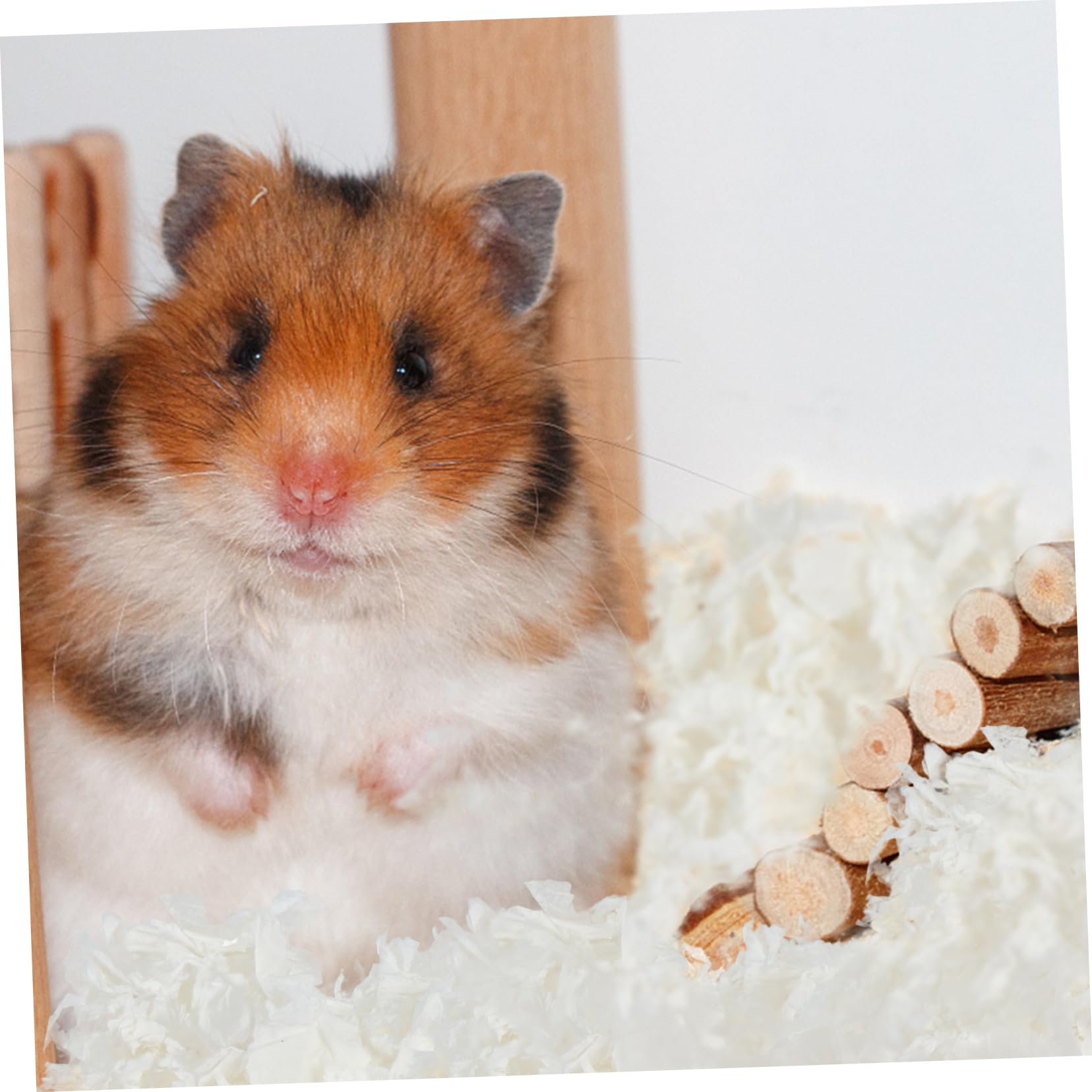 Beaupretty Litière Rongeur en Papier Blanc, Absorbante et Peu Poussiéreuse, pour Hamster et Lapin, Garde la Cage Propre,