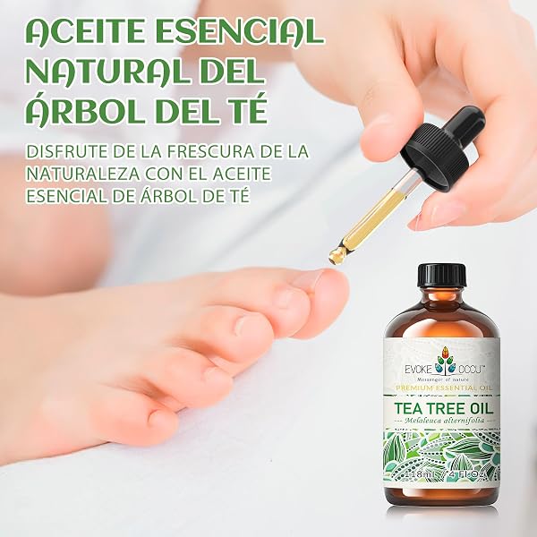 EVOKE OCCU Aceite Esencial de Árbol de Té 118ml, Aceite Puro de Árbol de Té para Difusor Piel Cabello Cuerpo Cuidado de Uñas - 5