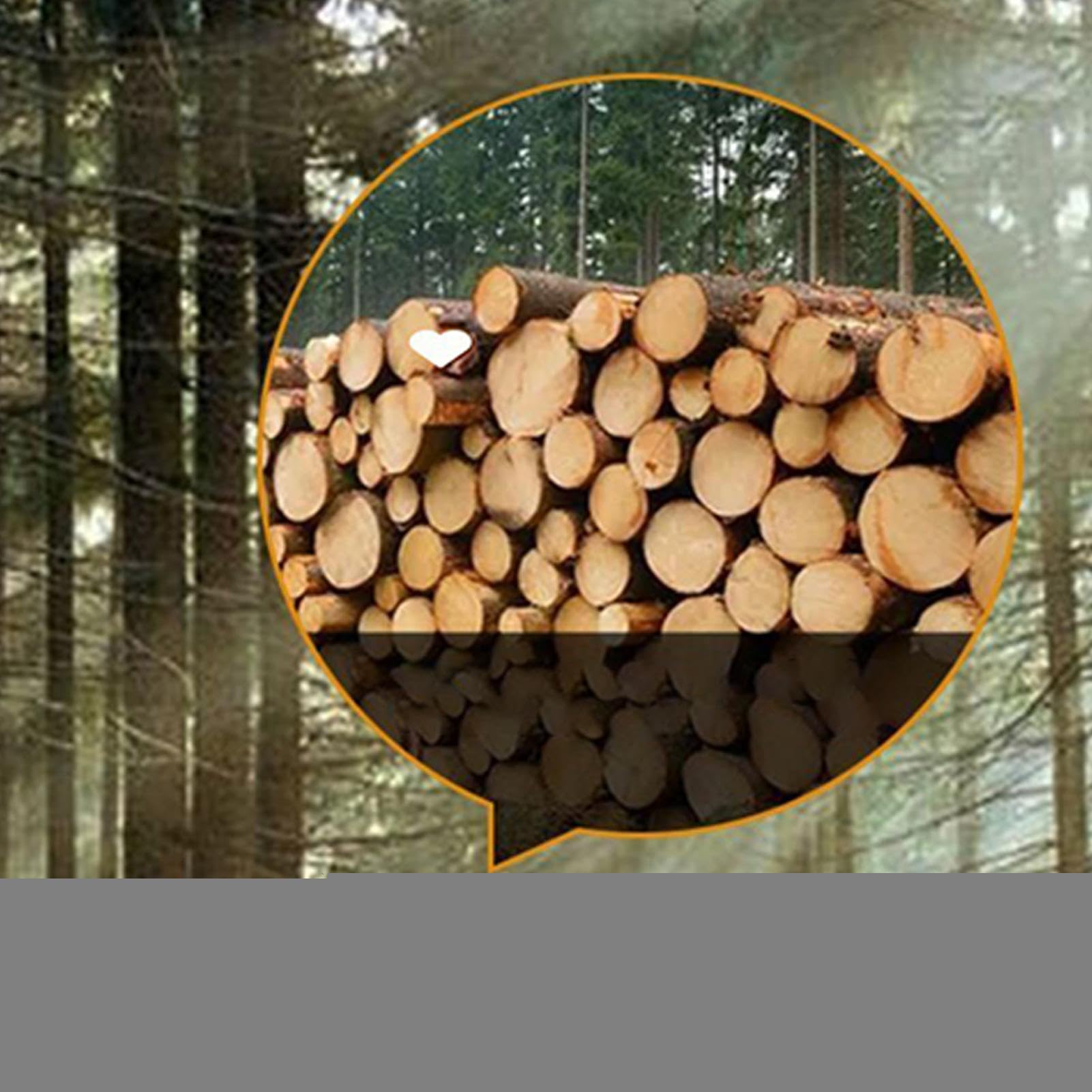 Holz Fußbad Eimer - Stressabbau Pediküre Fasswanne | Holzwanne für Fußbäder | Für Senioren Frauen Ältere Menschen Väter Und Mütter