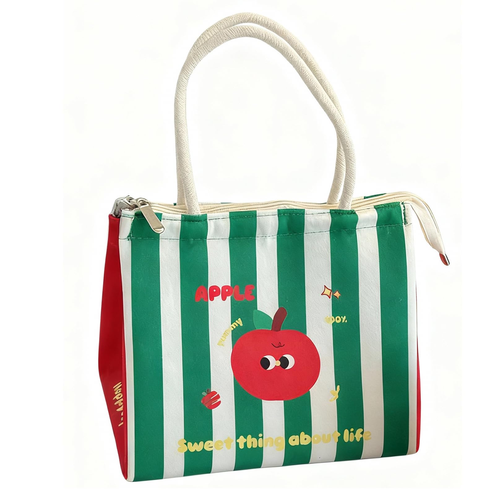 Large Lunch Bag Box for Women Cute Adult Lunch Box Insulated Lunch Bag