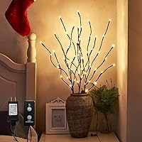 PEIDUO 30-Inch Lighted Willow Branch Lights with Timer - 3PK 60 LED Pathway Stakes for Indoor Outdoor Home Decor