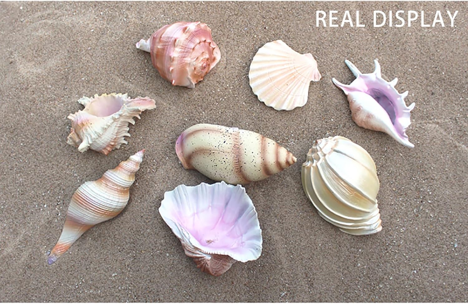 Sea shells,conch shell, Shell Decor for Beach Theme Party Wedding Home Decor DIY Crafts Fish Tank