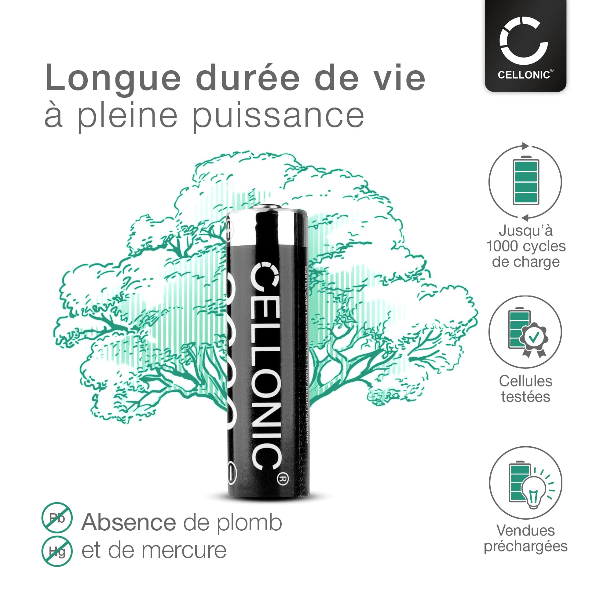 CELLONIC 4X Batterie pour Téléphone sans Fil Compatible avec Siemens Gigaset C620A,C620,C620H - (2600mAh, 1.2V)
