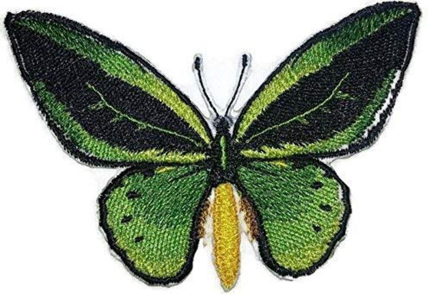 Custom and Unique Amazing Colorful Butterflies[ Common Green Birdwing ] Embroidered Iron On/Sew Patch [4.2" x2.673"]Made in USA]