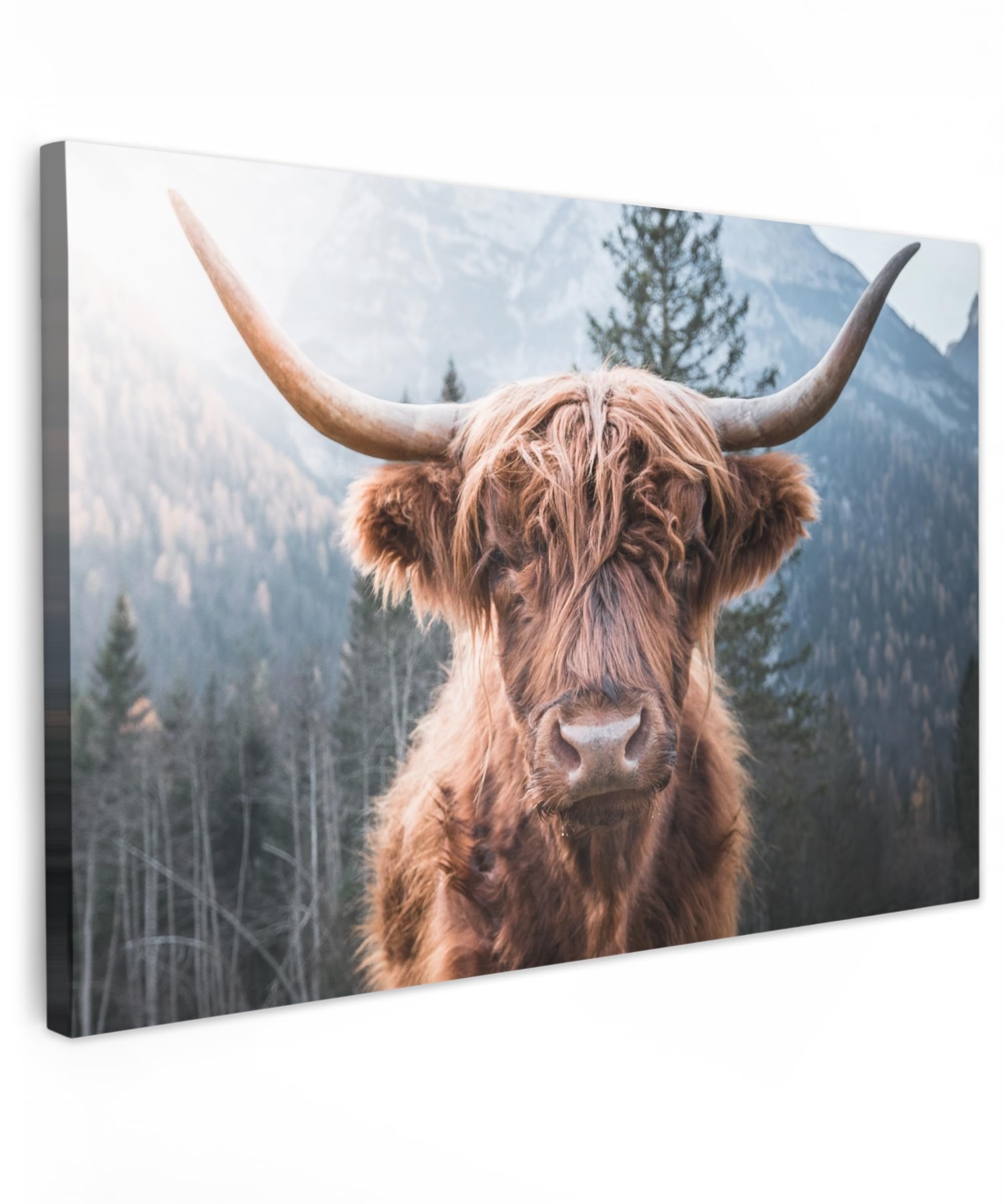 MuchoWow© Cuadros para Salon 120x80 cm Foto con Lienzo Canvas Laminas Cuadro Dormitorio Decoracion Hogar Pared Quadro Highlander escocés - Vaca - Animales - Montaña - Naturaleza