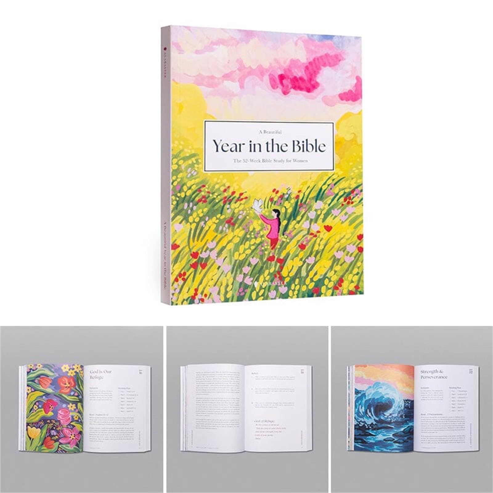 Un Anno Meraviglioso Nella Bibbia, 52 Settimane Di Studio Biblico Per Le Donne, Rafforzamento Della Fede E Dell'amore, Programma Di Lettura Ispiratrice, Guida Per Lo Studio Biblico Per Le Donne Anno B