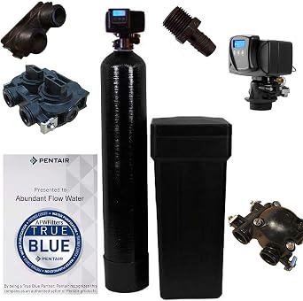 AFWFilters WS48-56SXT AFWFilters 5600SXT 48k with 1" Bypass Softener Digital SXT Metered Whole House System