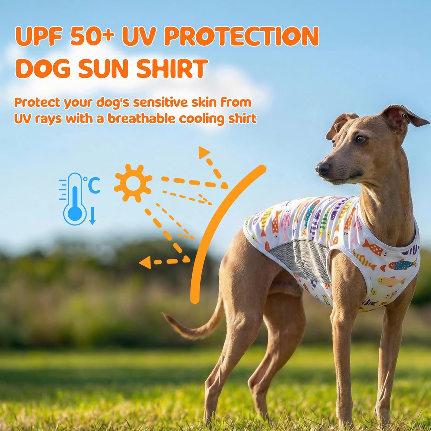 UPF 50+ Sun Protection Dog T-Shirt, 2 Pack Lightweight Sleeveless Dog Vest for Medium Large Dogs Boy – Reflective Strips, Quick-Dry Pet Apparel, Sports Fan Shirt P23ST00509XXXL