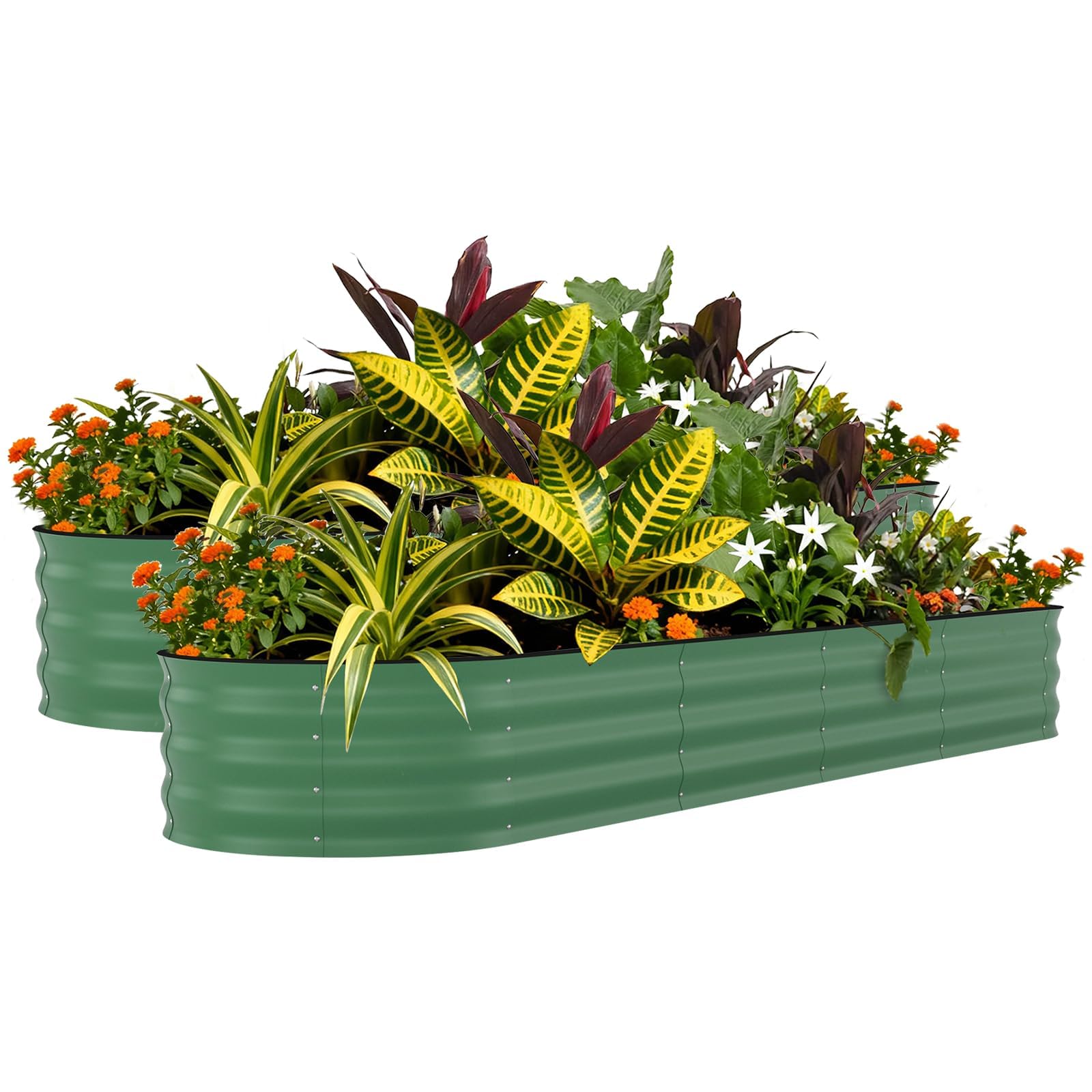 2 Pack Raised Garden Bed, 240*60*60cm Galvanised Metal Large Deep Planter for Vegetables Flowers & Herbs, Heavy-Duty Outdoor Raised Beds for Garden with Protective Edging & Support Bars, Easy Assembl