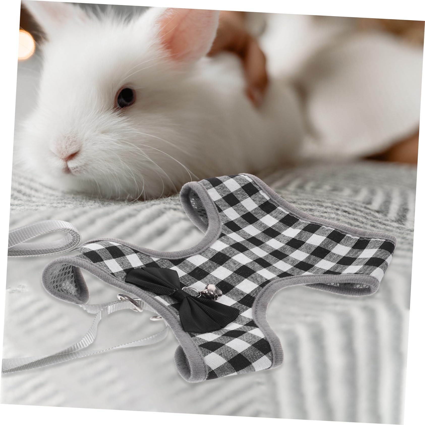 BESPORTBLE 5sätze Kleintiere Einstellbares Kaninchengeschirr Mit Leine Süßes Bunny Kostüm Für Haustiere Für Und Fotos