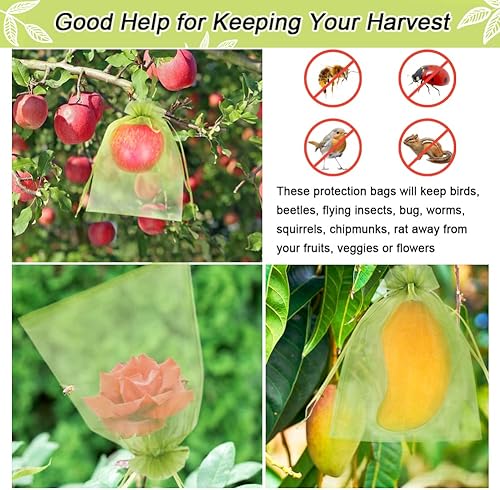 Miniatura 5 de 100 bolsas de protección de frutas de 6 x 9 pulgadas, bolsas de malla verde con cordón, protectores de frutas, barrera de plagas para mangos,