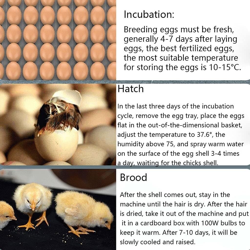 Fully Automatic Intelligent Incubator, Chicken, Duck and Goose Incubator, Small Household Egg Incubator