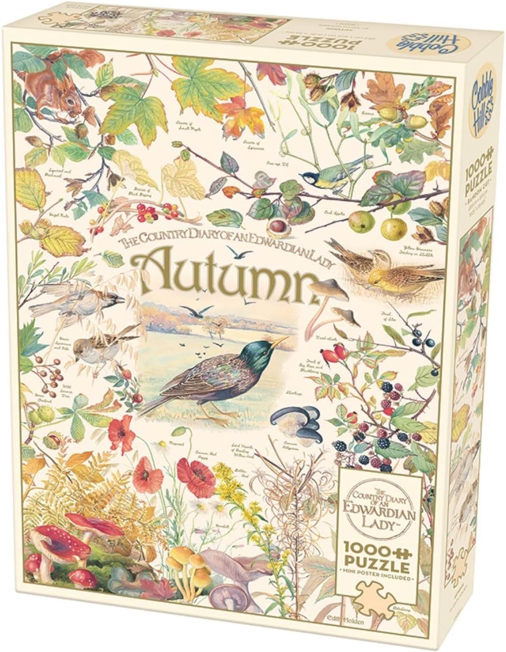 Country Diary: Autumn