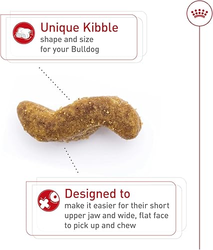 Miniatura 4 de Alimento seco para perro bulldog adulto nutrición sanitaria de Royal Canin  Ebany