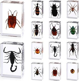 12 Pcs Insect in Resin Specimen Butterfly Bugs Collection Paperweights，12 Styles Real Bug Specimen Bug Kit Preserved in Resin for Kids Scientific Educational Toy Display Supplies (Insect)