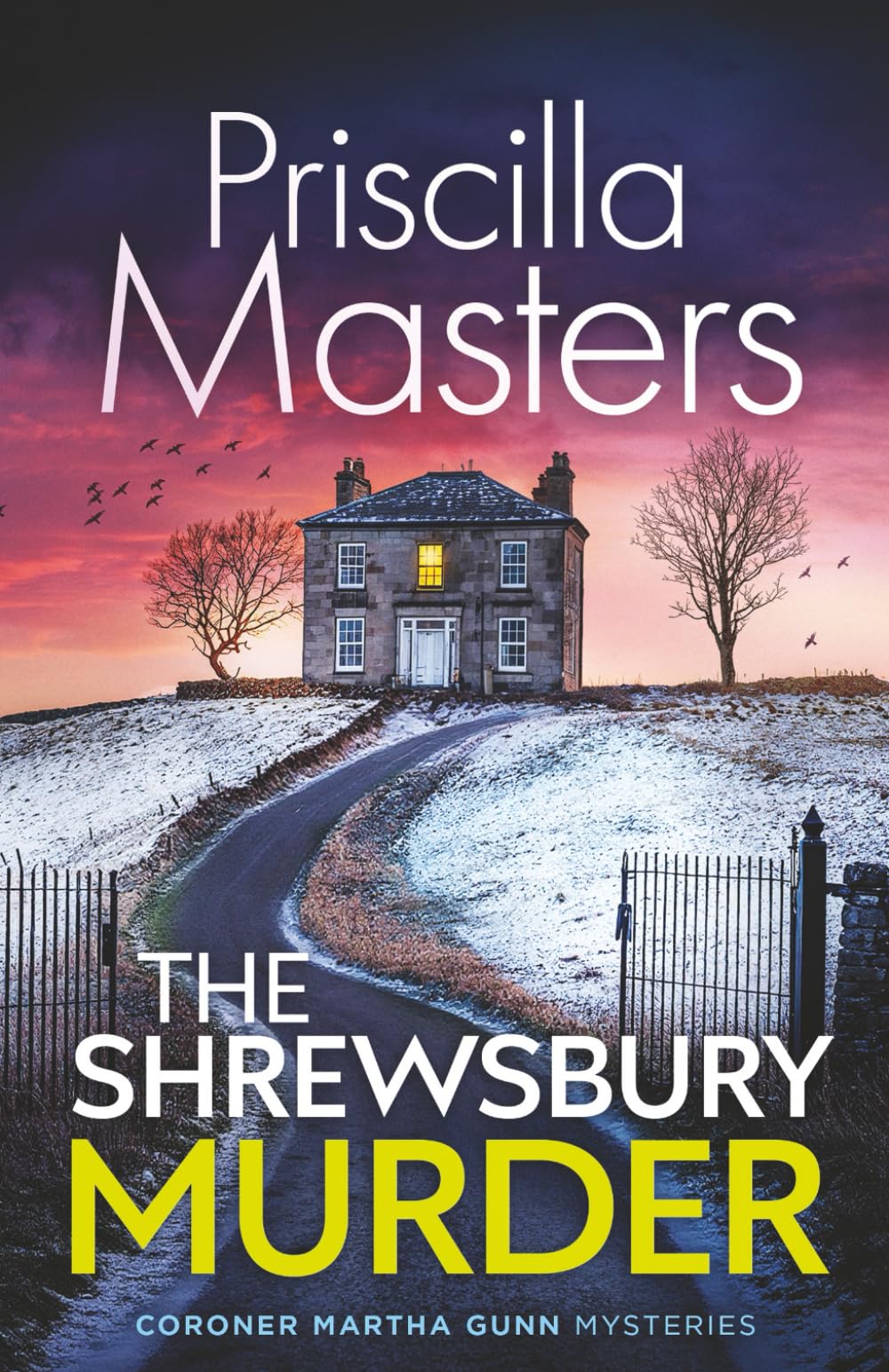 THE SHREWSBURY MURDER an absolutely gripping and unputdownable British crime mystery (Coroner Martha Gunn)