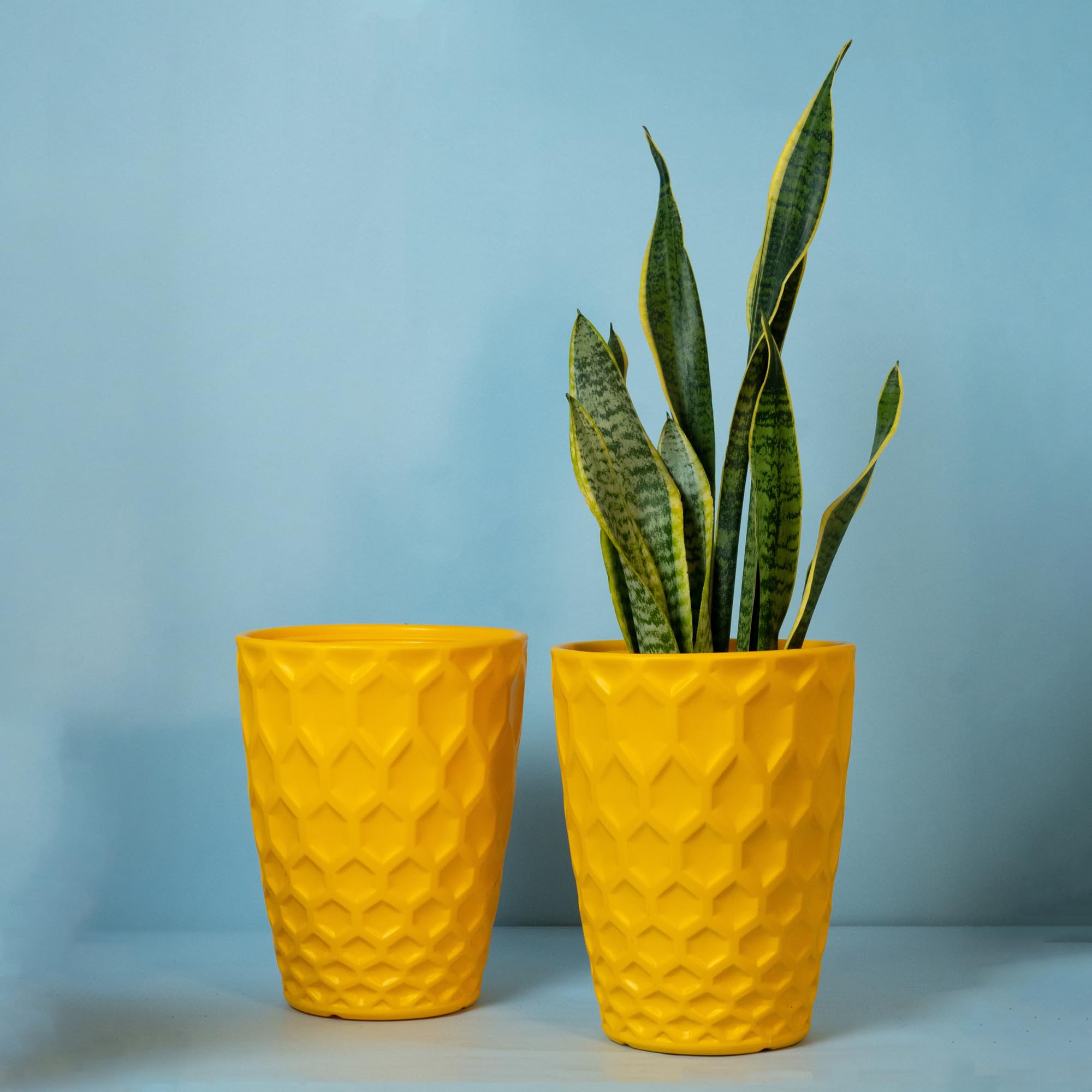 See full amazon price history chart for 8 Inch Flower Pots for Home | Pack of 2 | Gamla Planter Pots for Home Indoor and Outdoor Gardening | Plastic Pots for Balcony, Lawn and Home Garden| Home Decor, Balcony Decor,Terrace Decor (YELLOW) 8 Inch Flower Pots for Home | Pack of 2 | Gamla Planter Pots for Home Indoor and Outdoor Gardening | Plastic Pots for Balcony, Lawn and Home Garden| Home Decor, Balcony Decor,Terrace Decor (YELLOW) (B0D4JVSYR7) Amazon Price History, Amazon Price Tracker