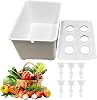 Hydroponics Growing System Kit - 6-Holes Germination System - Home Seedling Box - for Vegetables Flowers Fruits Indoor Outdoor Garden Greenhouse Farm Backyard Windowsill Balcony
