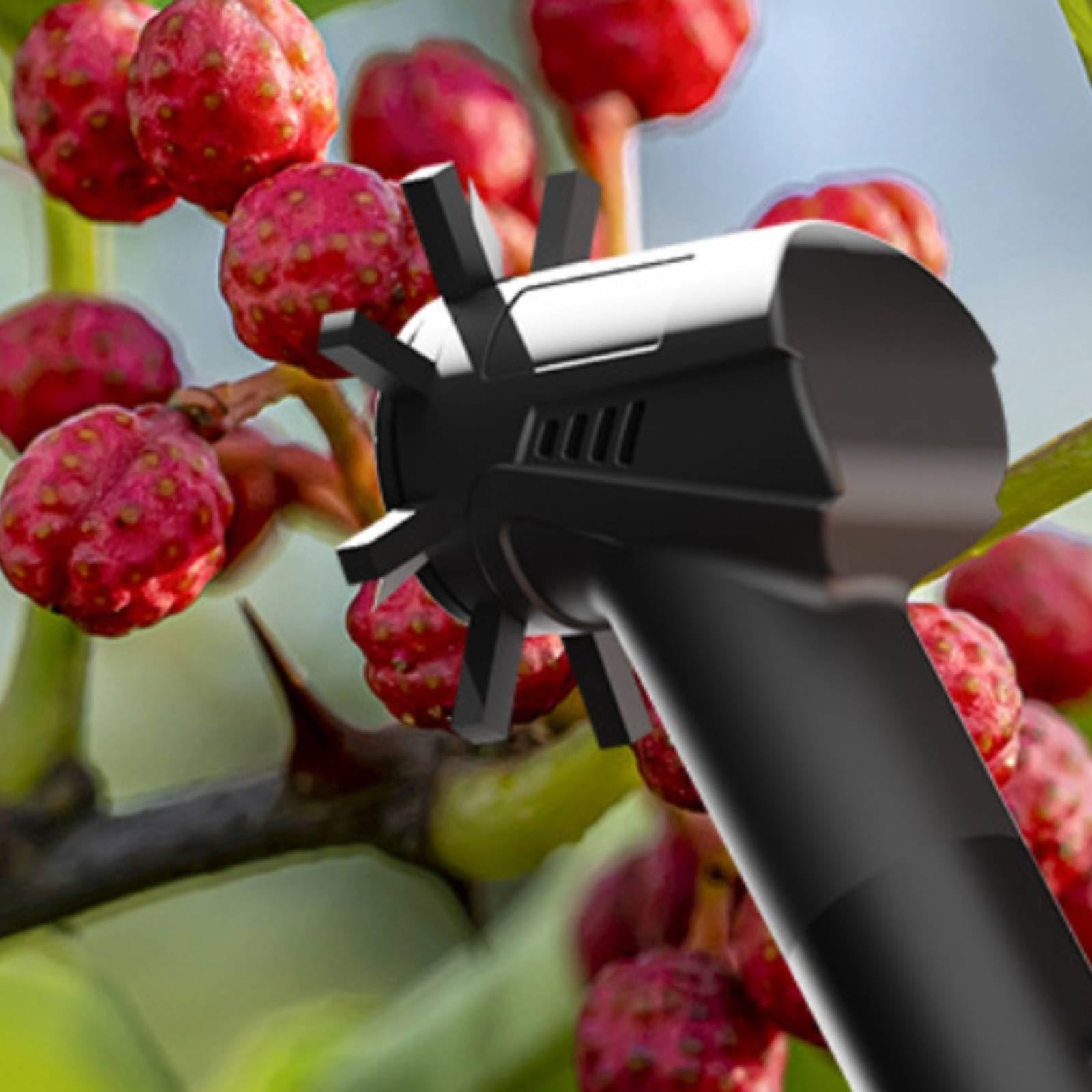 Colcolo Elektrischer Beerenpflücker Beerenpflückgerät Obstpflücker Handernter mit Austariertem Handstück für Kontrolliertes Führen An Zweigen für Gartenarbeit Hobbygärtner