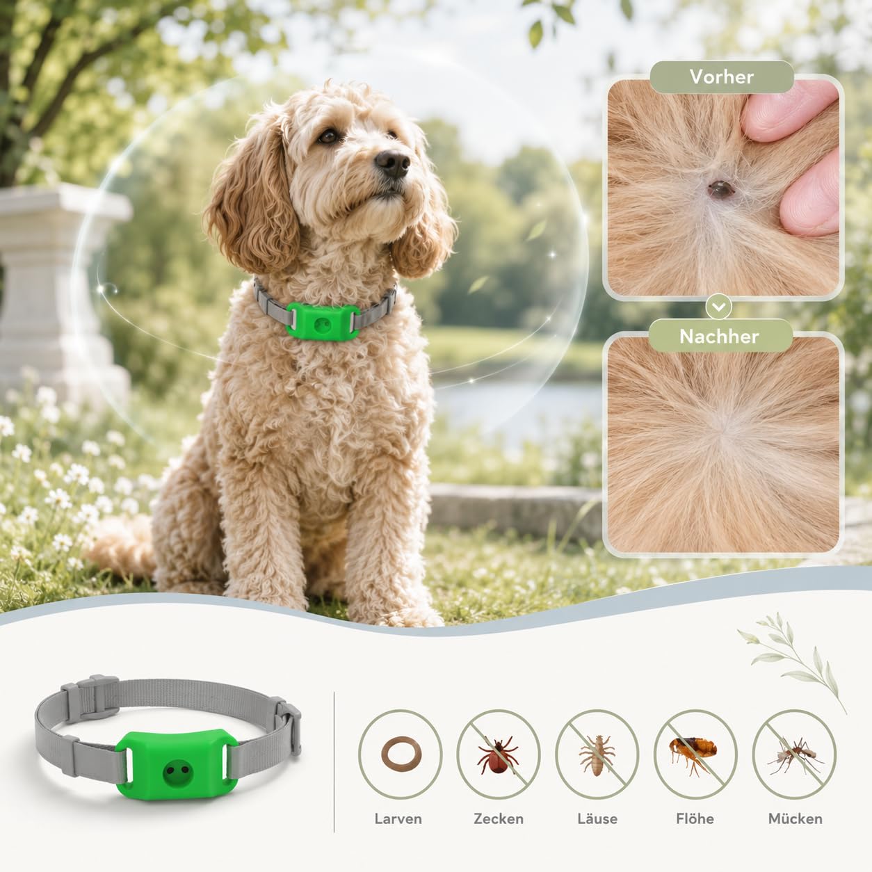 Evacare 12 Monate Floh- Und Zeckenfrei Natürlicher Hunde Anhänger Ohne Chemische Pestizide Mit Langsamer Freisetzung Leichtem Tragegefühl Für Welpen Kleine Mittlere Und Große Hunde (Grün,1PCS)