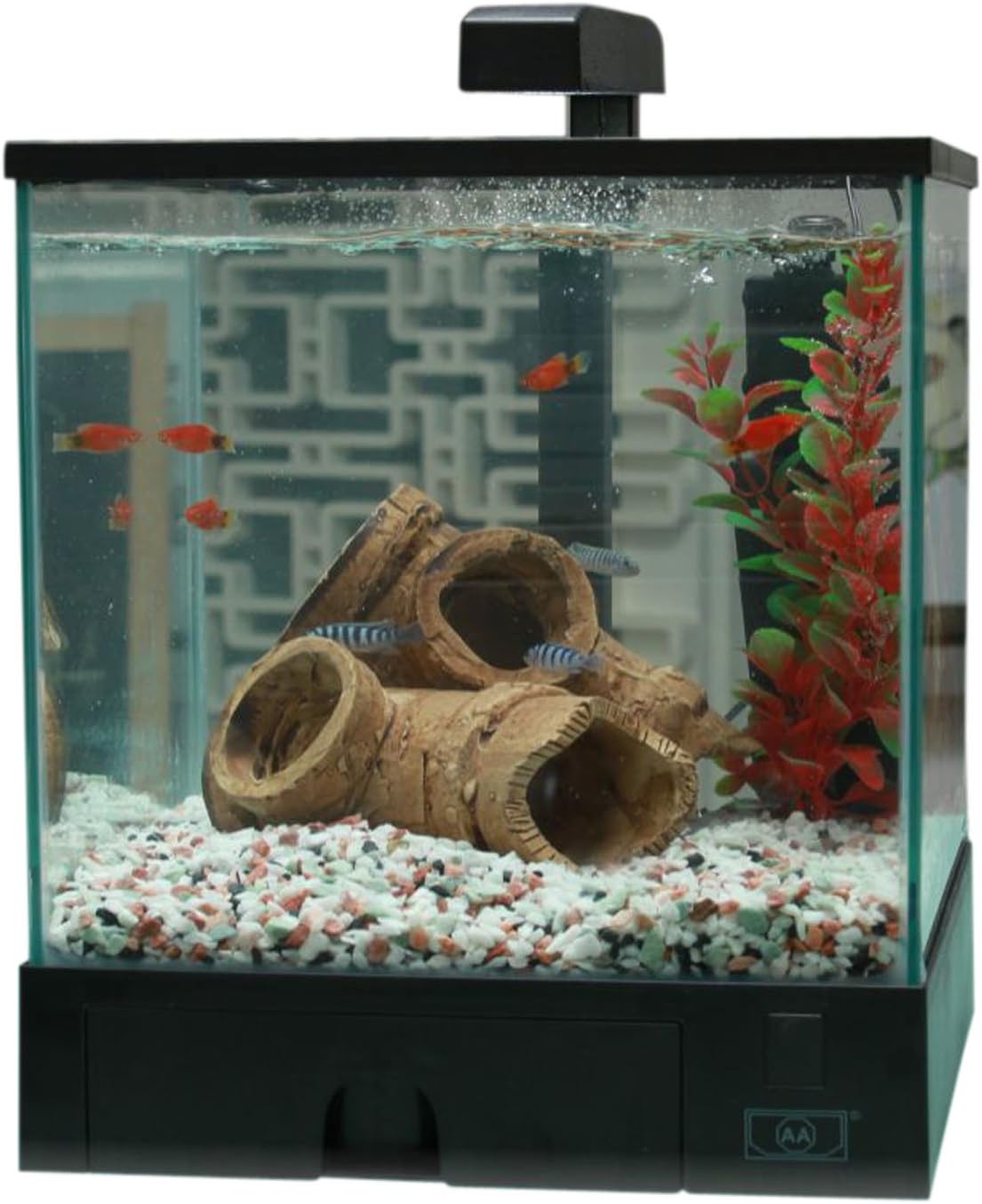 Aqua Boîte Aquarium en Verre avec lumières LED Haute Puissance 1,5