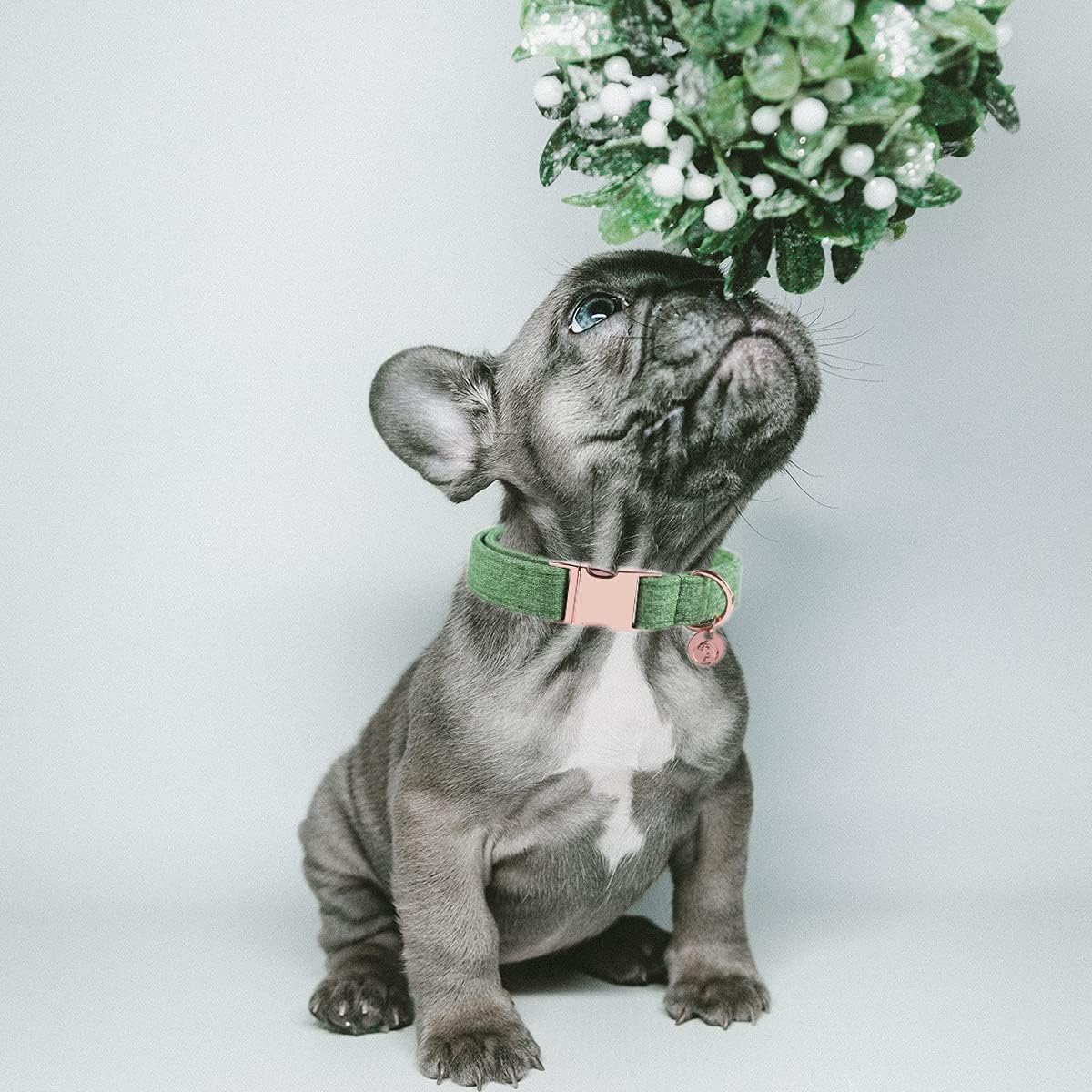 DOGWONG Cotton Dog Collar and Leash Green Pet Collar Soft Durable for Small Medium Large Boy Girl Dogs