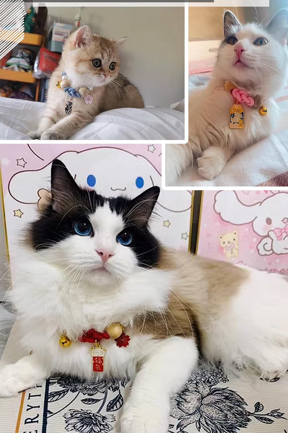 フラワー柄(ホワイト&ブルー)わんちゃん猫ちゃん用首輪 楽天市場】猫用首輪 猫 ネコの首輪 和柄 可愛い 猫用 ペット用