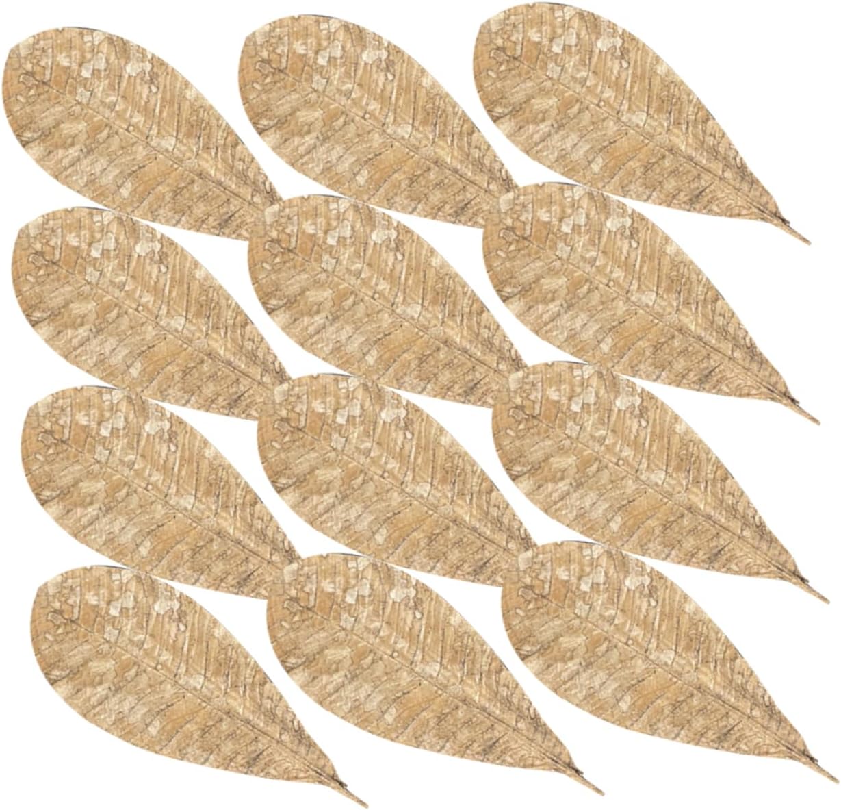 20pcs Dried Leaf for Sushi Plate Sushi Restaurant Decor DIY Sashimi Plate Leaf Pad Decors Food Photography Props
