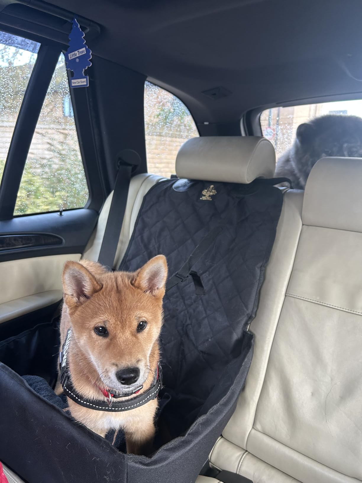 Customer photo