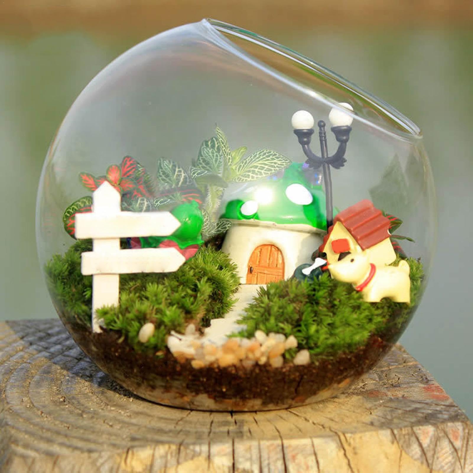 Cuenco para peces, jarrón redondo | Maceta de cristal de terrario | Jarrón de cristal con apertura inclinada | Soporte para plantas de aire | Cuencos de terrario de cristal para paisajes