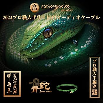 Amazon | cooyin 青蛇 リケーブル 2Pin 0.78mm ケーブル