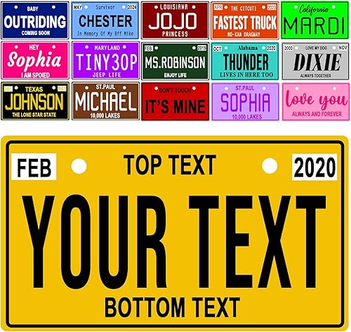 Placa de matrícula de motocicleta personalizada, novedosa placa frontal personalizada, placa de motocicleta personalizable, etiqueta de automóvil