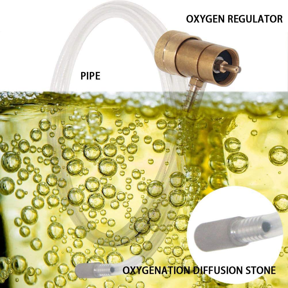 Kaysection - Kit de Oxygenation Regulador para Brewing, Oxygen Regulator for Disposable Tanks with Barb