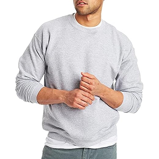 Hanes Men's EcoSmart Sweatshirt (2 Pack)
