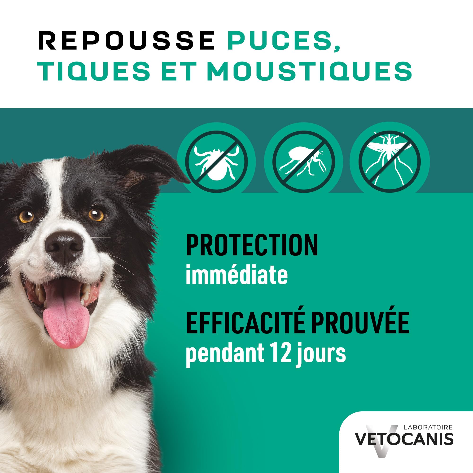 VETOCANIS, Spray Anti-puces et Anti-Tiques et Anti-Moustiques pour Chien, Spray Antiparasitaire 500ML, Répulsif Efficace 12 JOURS